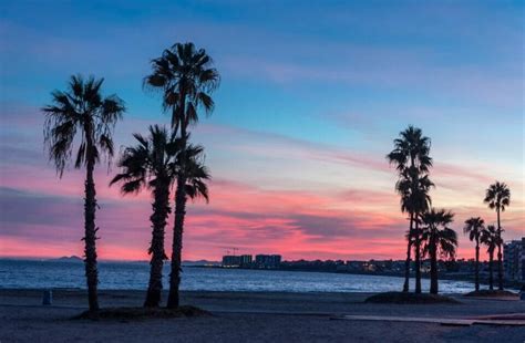 gay torrevieja|Gay Bar in Torrevieja